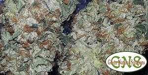 El Diablo OG | Marijuana Strain Reviews