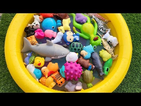 LEARN SEA ANIMAL, ZOO ANIMALS NAMES AND SOUNDS FOR PRE SCHOOLER