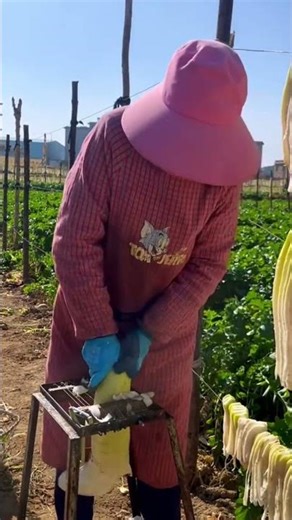 Someone uses a manual grater tool to cut harvested white radish