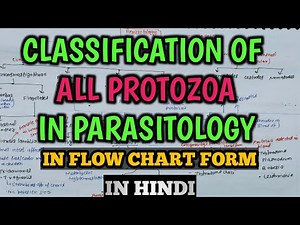 Parasitology | Classification of Protozoa in Microbiology | Classification of Parasites |Flow Chart