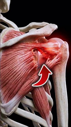 Stronger Shoulders In 4 Moves #rotatorcuff #shoulderstability #fitness
