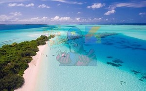 [Android]ダウンロードしたAndroidプロジェクトのソースコードを見る方法２パターン – みんプロ式 – 40代からの初心者向けスマホアプリ開発講座（Flutter）