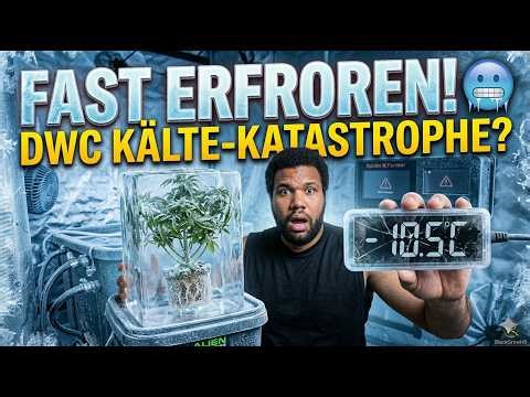 Pflanzen fast erfroren! (5°C Wasser) 🥶 Mein RDWC Setup gerettet + Topping