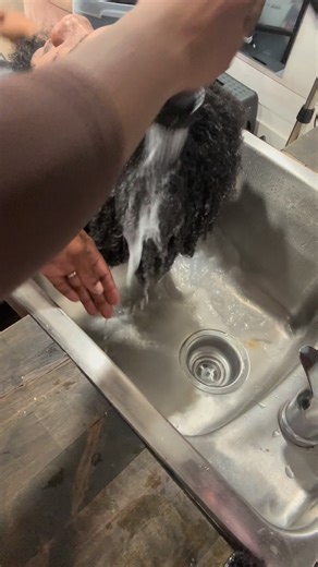 Danielle E. Brown on Instagram: "Shampoo and condition! The best way to start a braid service #shampooing #shampooandconditioner #shampoo #fblifestyle #fyp"