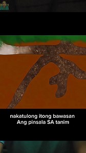 1.7M views · 8.1K reactions | Makabagong paraan para ma control ang mga daga meron na kaya gumaganit nito sa atin #fblifestyle #rodentcontrol #farming | Rame Niel | Facebook