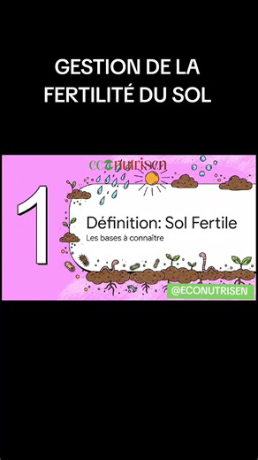 Partie 2: Fertilité du sol : définition #sol #agroecology #fertilite #senegal #agronomy