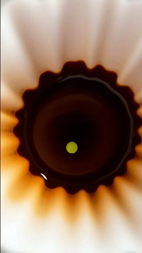 Exploring the Wonders of Chromatography - A Colorful Experiment