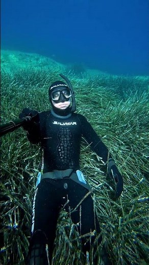 FREEDIVER IN THE SEA GRASS 🌊 #onebreath #underwater #chill #wetsuit #salvimar