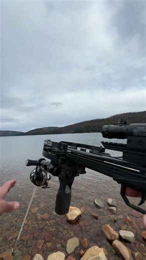 Clean setupno unnecessary weight👉 ballista.co Code: TUBE #ballista #crossbow #archery