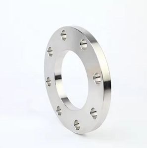 [Hot Item] Steel Stainless Steel SS304 Forged Flat Flange