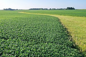 Land Management | Peoples Company