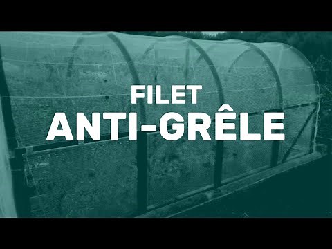 Filet anti-grêle (vidéo d'un client)