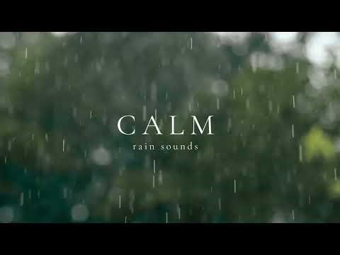 Calm Rain Sounds | Gentle White Noise for Rest & Relaxation