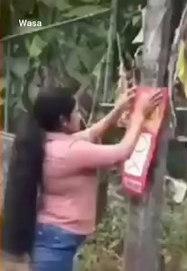 Chaminda Kumara on Reels