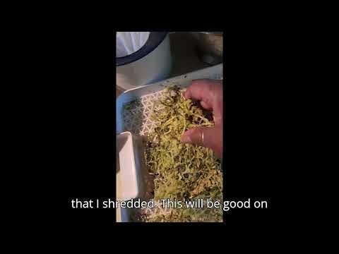 Dehydrating Zucchini for soups or salads