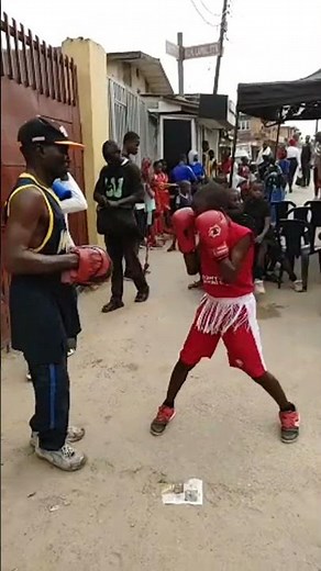 🥊 Top 5 Boxing Gloves for Every Fighter!