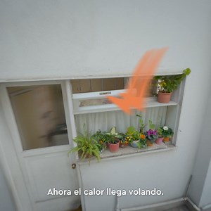 Pide gas Abastible por Whatsapp | Abastible