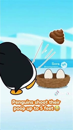 🐧 Fun Science Fact: Penguins Can Shoot Their Poop 5 Feet!