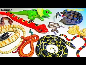 realistic remote control rc snake toy,remote control snake toy - Full Series Link in Description