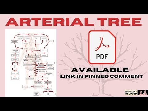 3D Arterial Tree Anatomy | Blood Supply of All Regions of the Body ‪@anatomydecoded‬