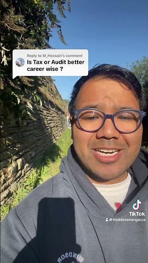 Audit vs Tax Accountants #accountant #accountantlife #charteredaccountant