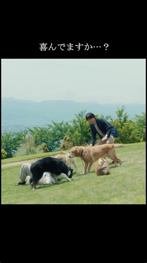 『ファーストキス 1ST KISS』映画公式アカウント on Instagram: "予期せぬ犬の襲撃 映画『ファーストキス 1ST KISS』大ヒット上映中 #映画ファーストキス #松たか子 #松村北斗 #吉岡里帆 #森七菜 #リリーフランキー #坂元裕二 #塚原あゆ子 #犬 #ゴールデンレトリバー"