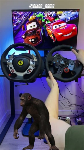 Logitech G29 vs Thrustmaster T300 #cars #simracing #monkey #shorts #gaming #steeringwheel