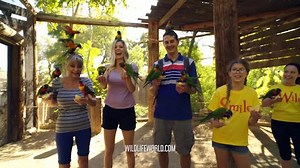 151K views · 1.8K reactions | Arizona's largest collection of exotic animals. With feedings, shows, rides and aquariums you're sure to have fun every visit! For your discount go to www.wildlifeworld.com/coupons/ | Wildlife World Zoo | Facebook