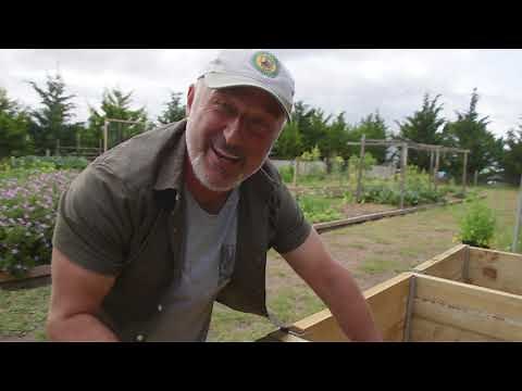 Check the temperature of your compost using a thermometer