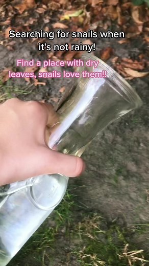 Here’s a lifehack for y’all:) #snails #lifehack #fyp #snaillifehack