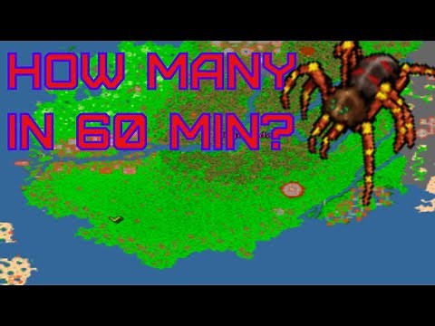 Tibia How many Giant spider in 60 minutes? - Port hope bestiary guide.