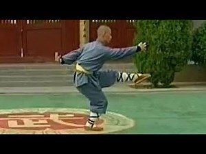 Shaolin Kung Fu 7-star (七星拳: qixing quan)