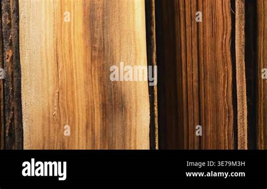 Library stack of old books slider moves on aisle in colorful neon shop,bookstore. High quality 4k footage Stock Video Footage - Alamy