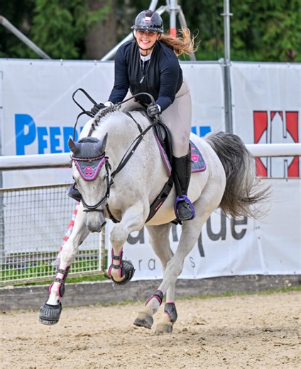💣💥🧨Wer kennts?😂 #wintertime #spookyseason #rideordie #oldenburgerspringpferd #equestriangirloftiktok