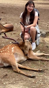 Love at First Sight Girls & Deer in Nara 💖 #narapark #japantravel #solotravel #deer | NaraDeerr