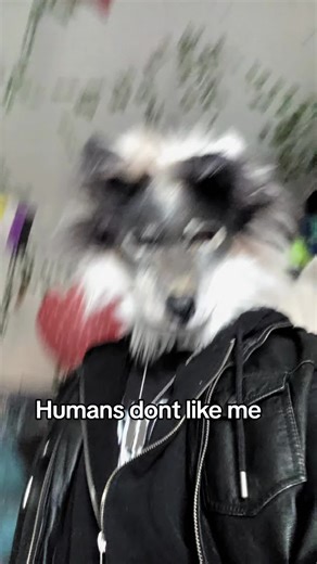 lazy post🥹✌️ #therian #wolftherian #physicaltherianthropy #fyp #werewolf