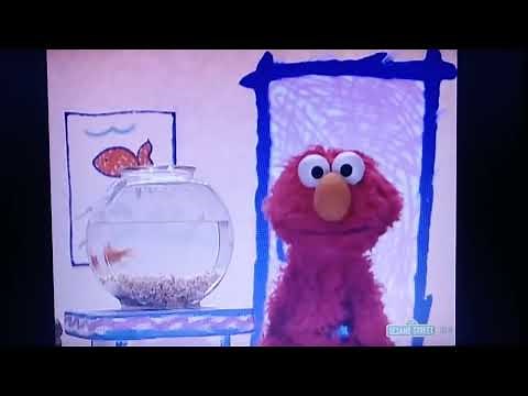 Elmo's World Bugs Intro