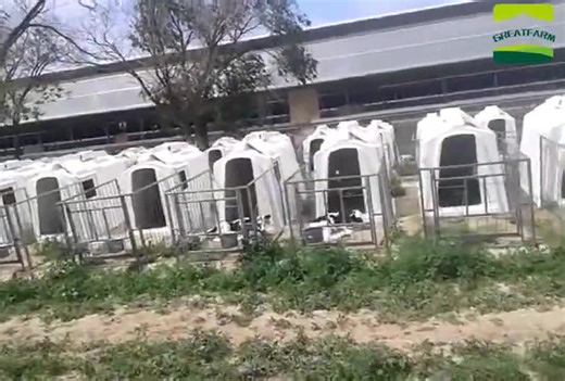 Reinforced Outdoor Calf Cages Plastic Calf Hutches Calf Housing for Daily Farm Feeding Animals with Fencing