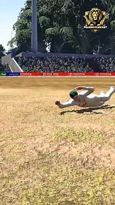 #majeedgaming #ausvsenghighlights #AUSvsENG | Majeed Gaming