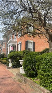 4.6K views · 15 reactions | Ready for the weekend? Check out these events in Norfolk, VA! #visitnorfolkva | VisitNorfolk | Facebook