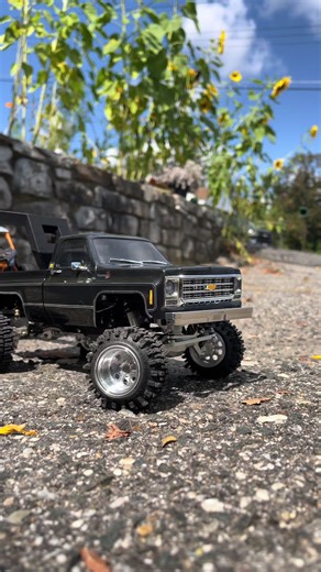 repost from summer because it’s hard to get any clips with the snow 😡 #fyp #truck #foryoupage #rccar #rc