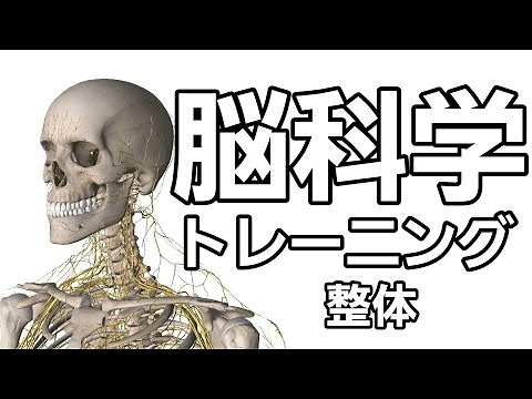 体は一瞬で変わる！脳のボディマップとは？