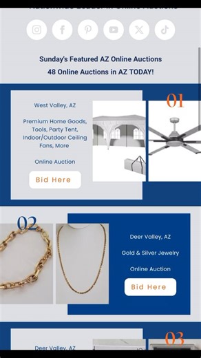 48 online auctions TODAY in the Phoenix area! Also bid on restaurant equipment liquidations in California! Bid at AuctionNation.com 😎 Great deals on power tools, patio furniture, home goods, kitchen and bath supply and more! #auctionnation #onlineauctions #solarpanels #overstockretail #phoenix #phoenixauctions #powertools #kitchensupply #arizonaauctions #peoriaaz #tempeaz #californiaauctions #restaurantequipment | Auction Nation