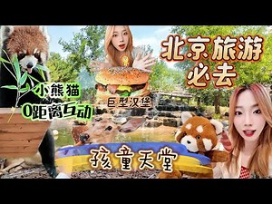 [4K][SUB]北京旅游必去推荐，好吃又好玩，带娃首选，体验感超强，北京野生动物园全攻略。Beijing Wildlife Park，Beijing Zoo