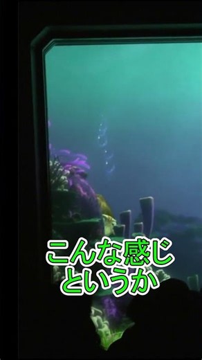 Crush Has an Accident 【Turtle Talk】 Tokyo DisneySea