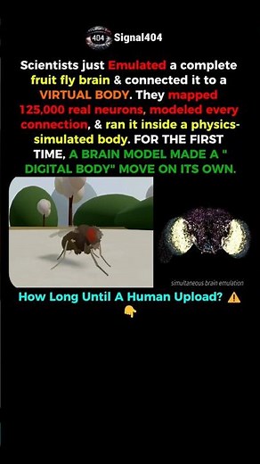 They Uploaded a Fruit Fly's Brain to a Computer ⚠️