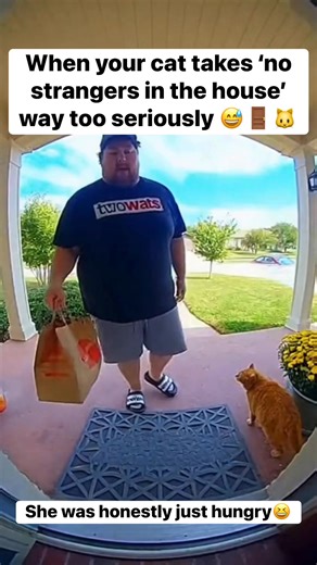 Note to self: tip extra for emotional damage 😭🐈‍⬛ #cat #cats #catoftheday #doordash | Veronica Cannady