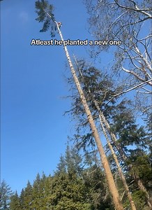 That's how you recylce a tree 😂 | HappinessHub