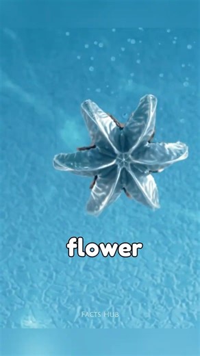 How Fired Bullets Are Turned Into Luxury Jewelry