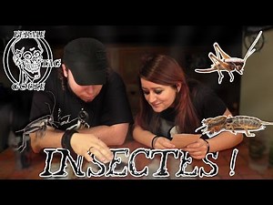 Dégustation d'insectes : Ferme TAG Goule #2